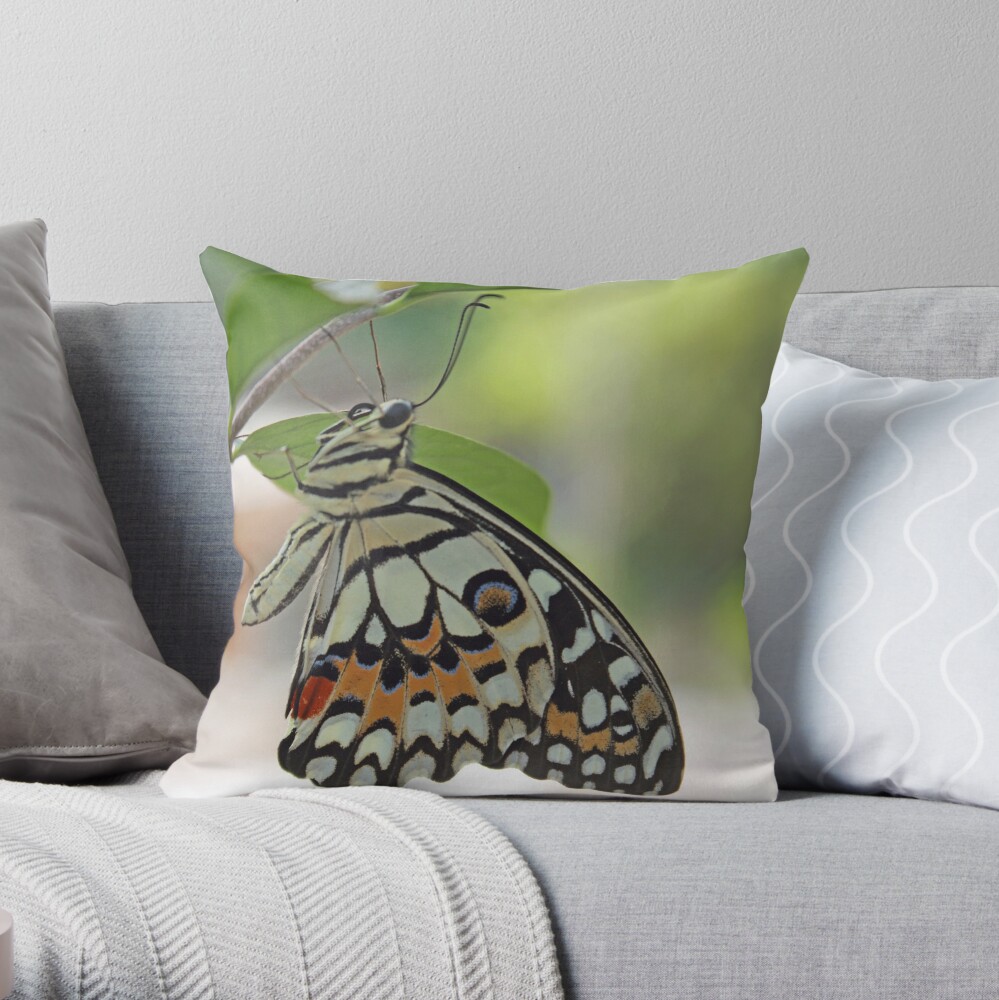 Coussin « Donnez des ailes à vos projets!»