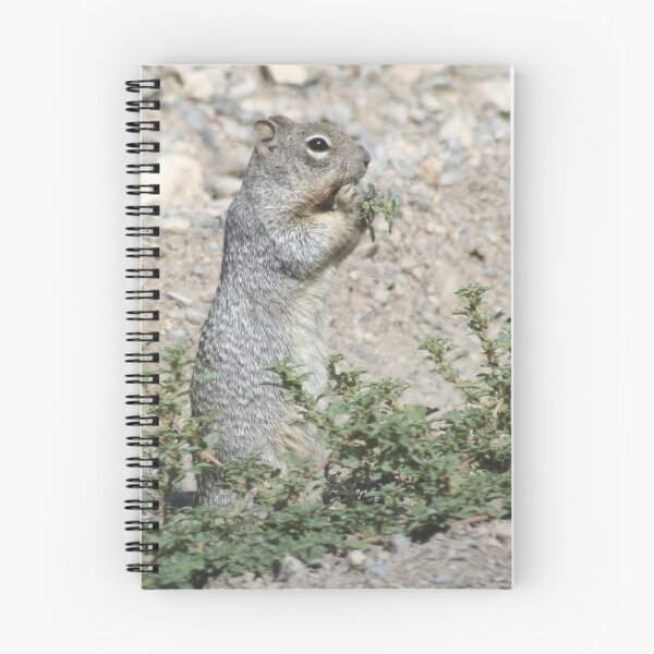 Item preview, Squirrel designed and sold by Arla Ruggles.