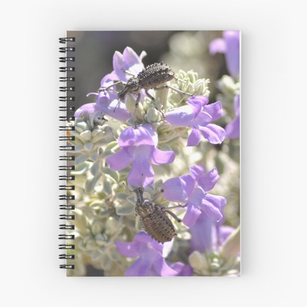 Item preview, Its a Bugs Life on Flower designed and sold by Rob Moffatt.