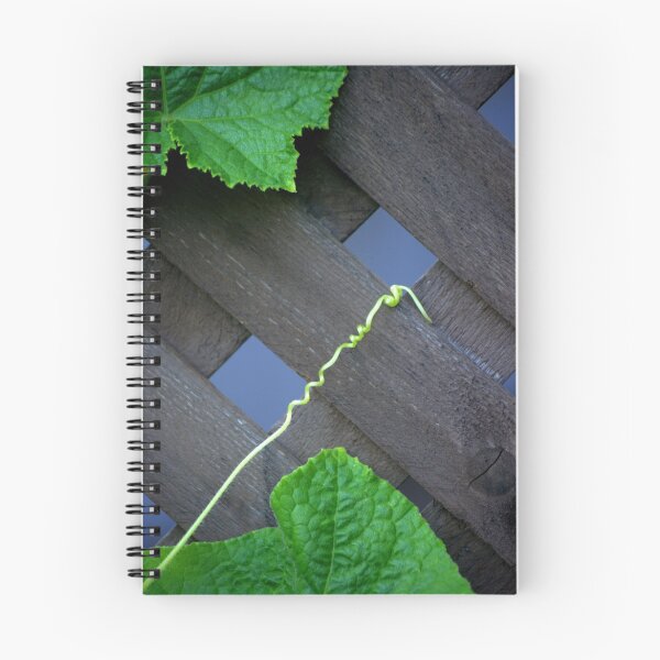 Item preview, Searching... designed and sold by Larry Llewellyn.