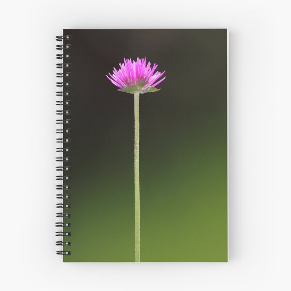 Item preview, The Straight And Narrow designed and sold by Gary Fairhead.