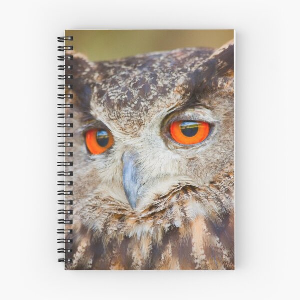Item preview, Look into my eyes - Eureasian Eagle Owl designed and sold by Josef Pittner.