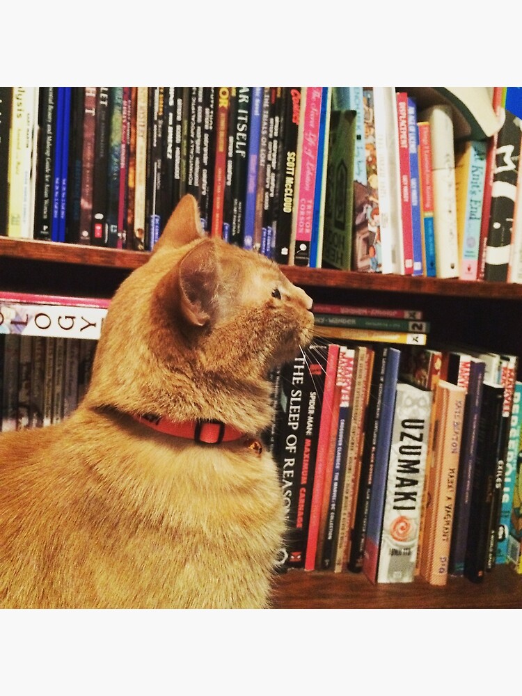 Book Cat by suitcaseofbks
