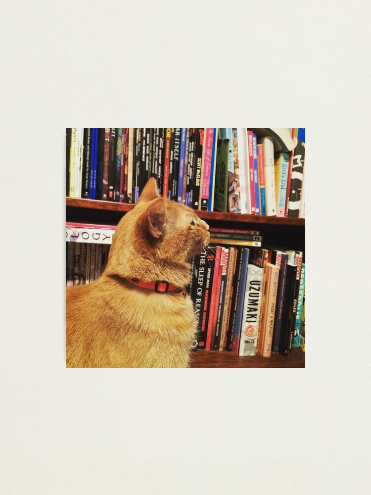 Alternate view of Book Cat Photographic Print