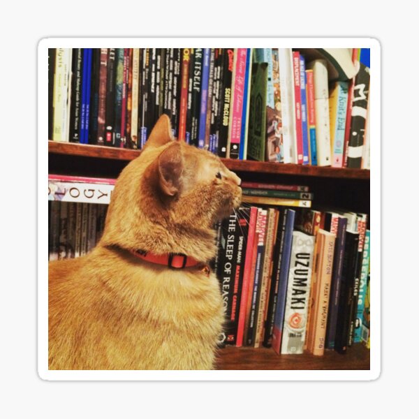 Book Cat Sticker