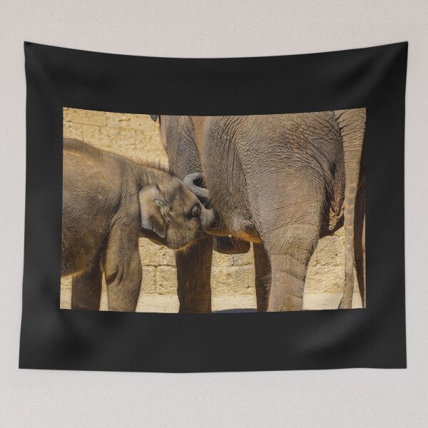 Item preview, Baby elephant, gift designed and sold by PingiPinguin.