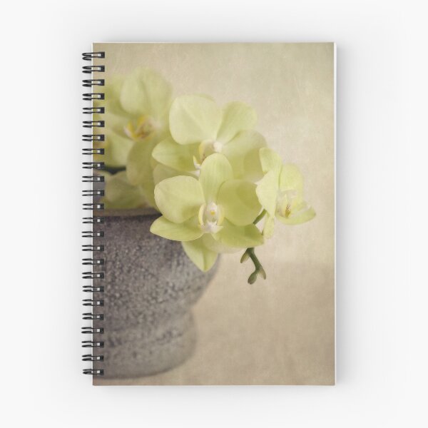 Item preview, Delicates designed and sold by Priska Wettstein.
