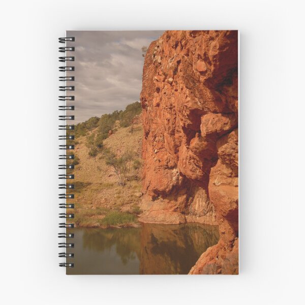 Item preview, Spinifex meets rock designed and sold by Richard  Stanley.