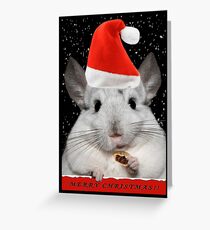 Merry Christmas Grußkarte