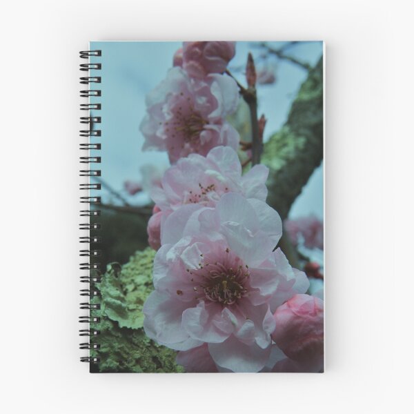 Aperçu de l'œuvre Spring Blossoms créée et vendue par TracyD.