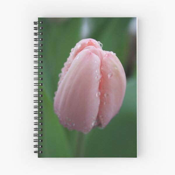 Artikelvorschau, Tulip 3.27.09 entworfen und verkauft von JennD73.