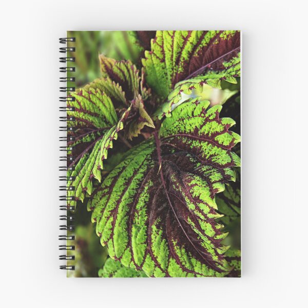 Item preview, Vibrant Coleus designed and sold by pat gamwell.