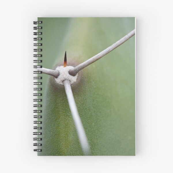 Artikelvorschau, Cactus abstract entworfen und verkauft von Etwin.