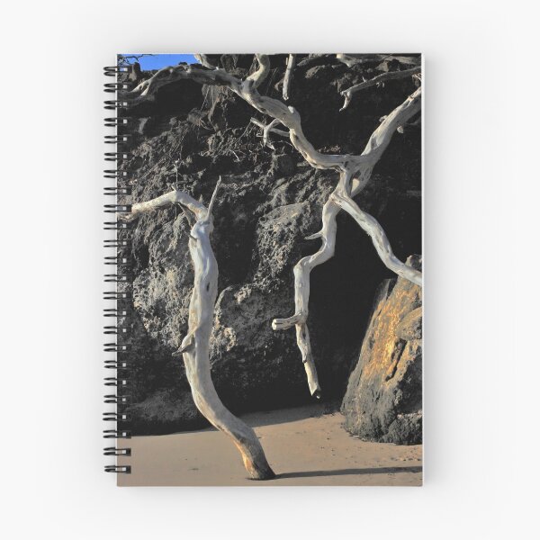 Item preview, Exposed roots and branches on Hapuna Beach, Hawaii designed and sold by Michael Brewer.