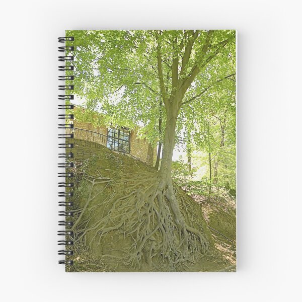 Item preview, Getting to the Root of the Matter designed and sold by Gordon Taylor.