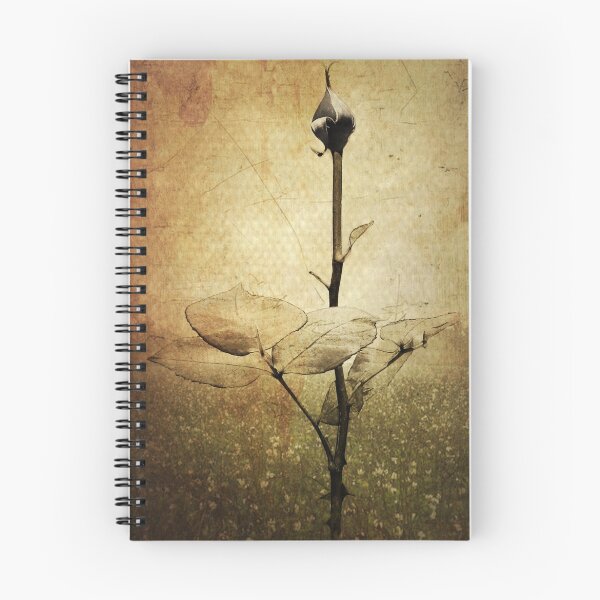 Item preview, Staying Centered designed and sold by pat gamwell.