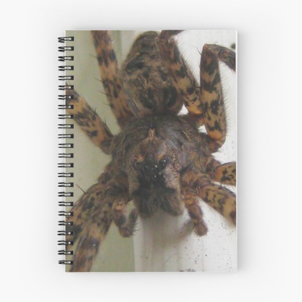 Item preview, Big Momma Spider designed and sold by hallucingenic.