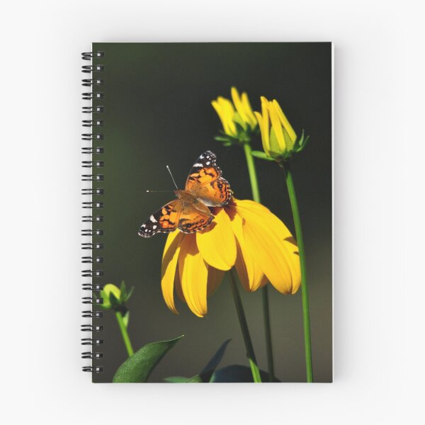 Item preview, American Lady on Coneflower designed and sold by Nancy Barrett.