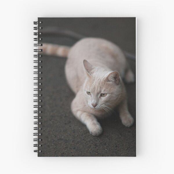 Item preview, Posing designed and sold by Pedro Barradas.