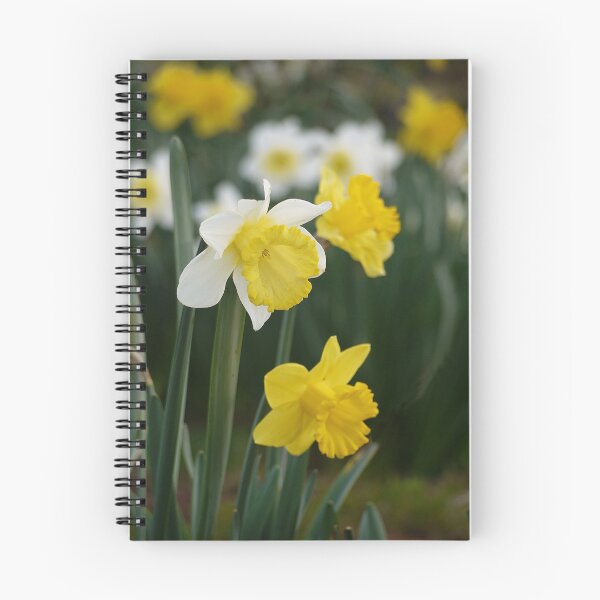 Item preview, Winter's Daffodils designed and sold by Sharon McRae.