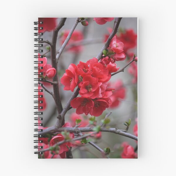 Item preview, Winter's Japonica designed and sold by Sharon McRae.