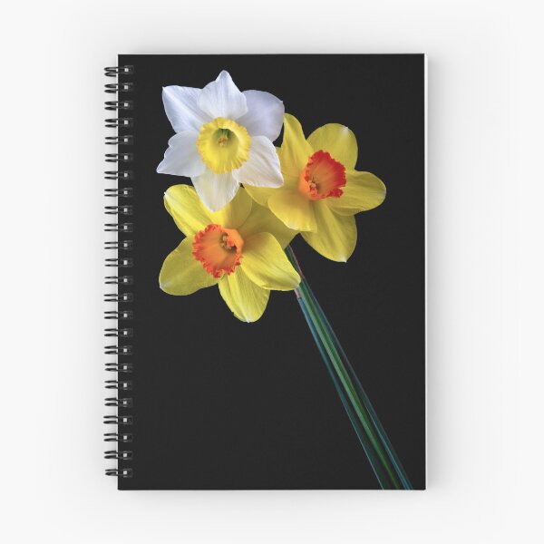Item preview, Narcisos designed and sold by Mary Broome.