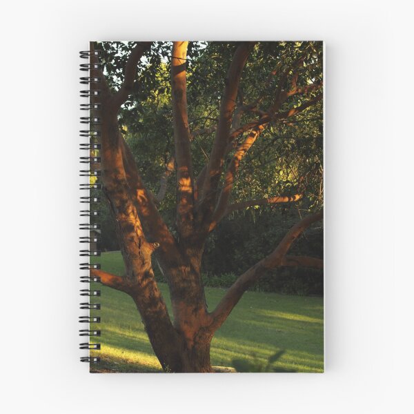 Item preview, Autumn Evening light designed and sold by Jerry Tingle - photofirst.