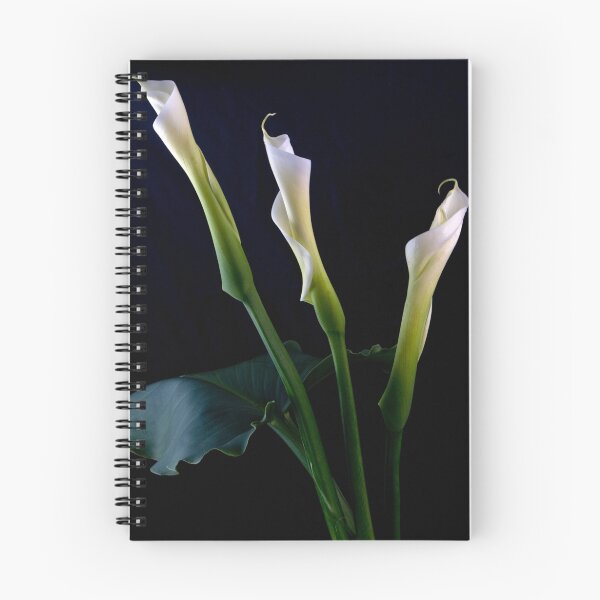 Item preview, Lillies designed and sold by Mary Broome.