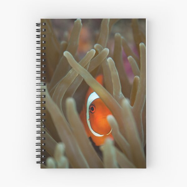 Item preview, Refuge  designed and sold by Stephen Colquitt.