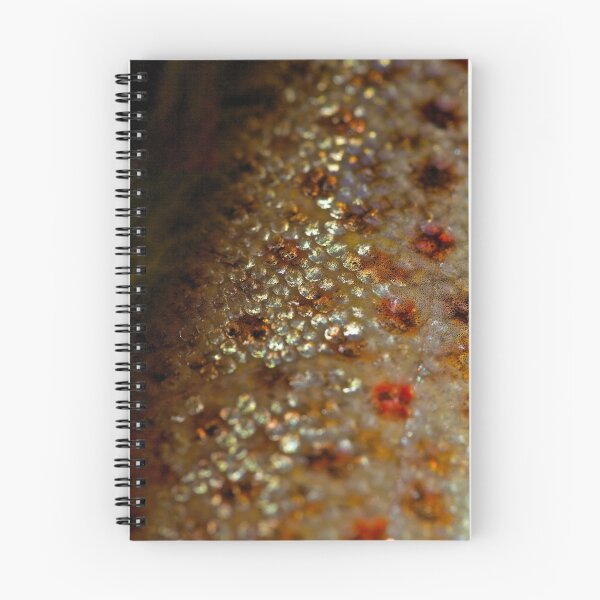Item preview, 836 $ only ! WooWoo ! Hahha ! Beauty of nature. Brown Trout . Abstract Art . Views 836 thank you ! je suis enchante ! Toda raba ! designed and sold by © Andrzej Goszcz,M.D. Ph.D.