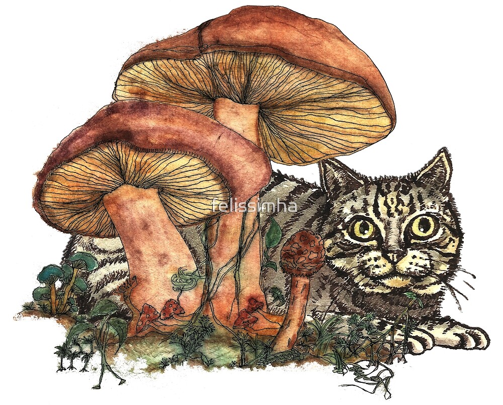 Кот и грибы