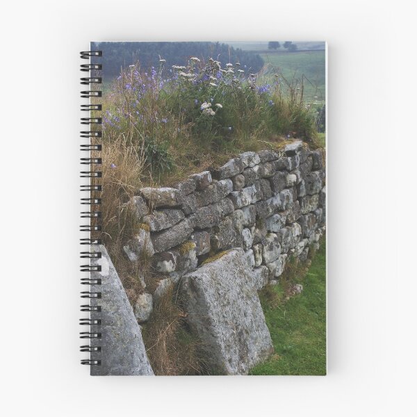 Artikelvorschau, Wildflowers on Hadrian's Wall entworfen und verkauft von rualexa.