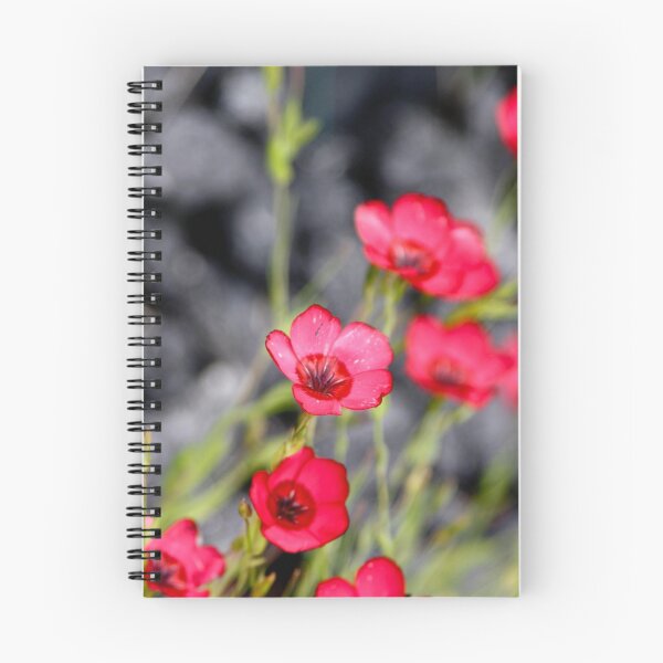 Item preview, Red & Black designed and sold by JRHPhotography.