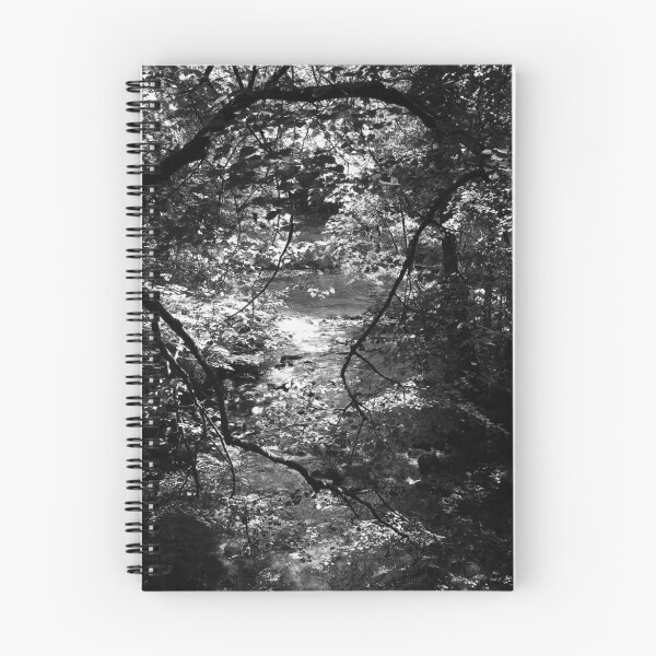 Artikelvorschau, river dart  entworfen und verkauft von chris  white.