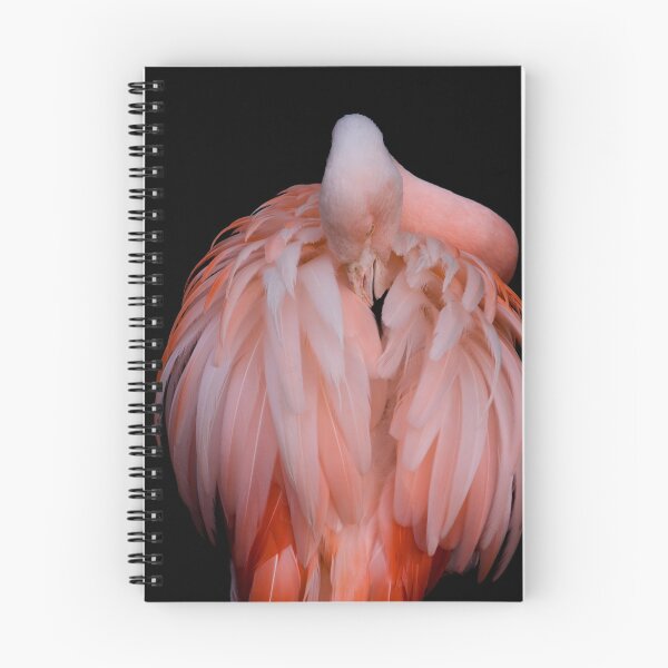 Item preview, Preening designed and sold by Lynne Morris.