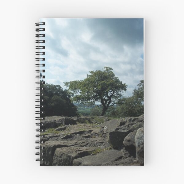 Item preview, Tree on Hadrian's Wall designed and sold by rualexa.
