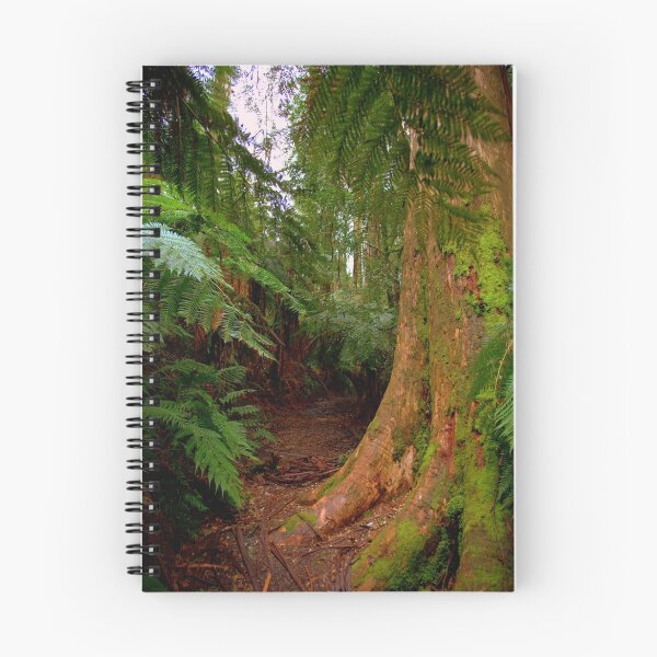 Item preview, Walking trail designed and sold by Gavin Poh.