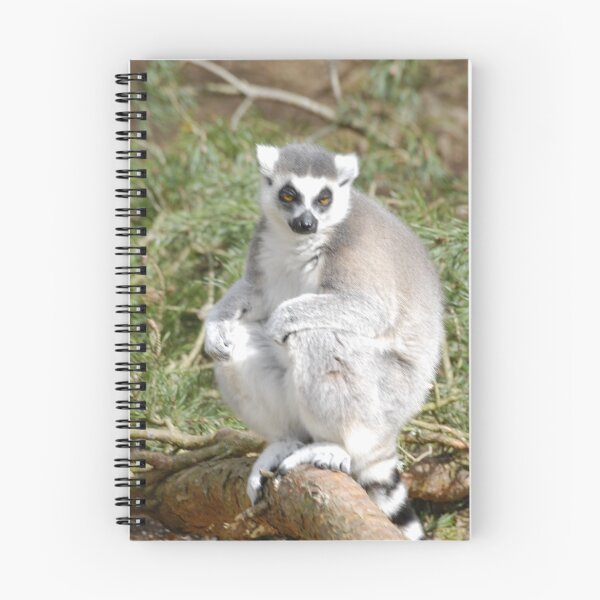 Artikelvorschau, Lemur entworfen und verkauft von Eden Stanger.