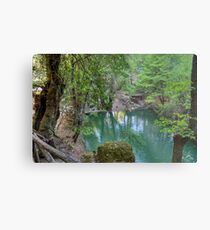 Petaloudes Pond Metal Print