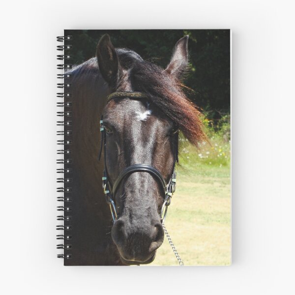 Item preview, Friesian Beauty designed and sold by Heather Haderly.