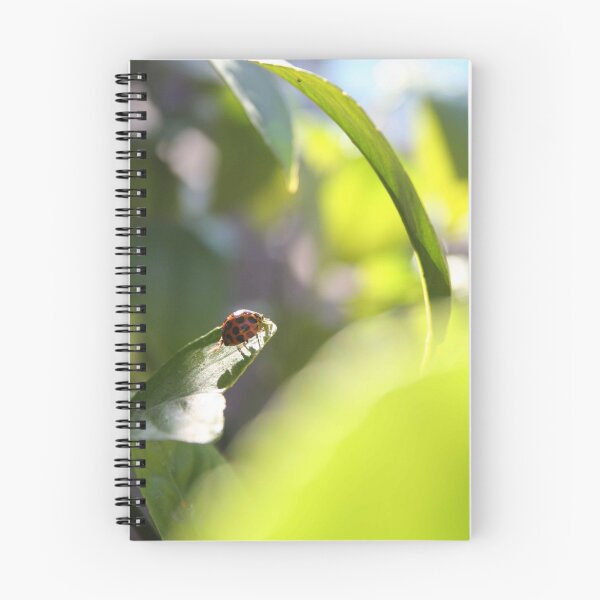 Item preview, Climbing High - ladybird designed and sold by Kathryn Steel.