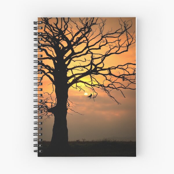Item preview, Timing... or trickery? designed and sold by David Mould.