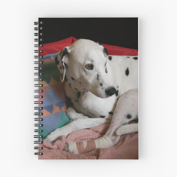 Item preview, Not happy Jan! designed and sold by Denzil.