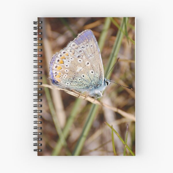 Item preview, The Common Blue...Butterfly  designed and sold by Declan Carr.