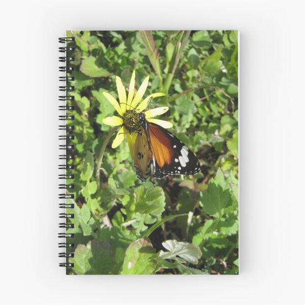 Artikelvorschau, no Change no Butterflys entworfen und verkauft von Olaf Rosentreter.