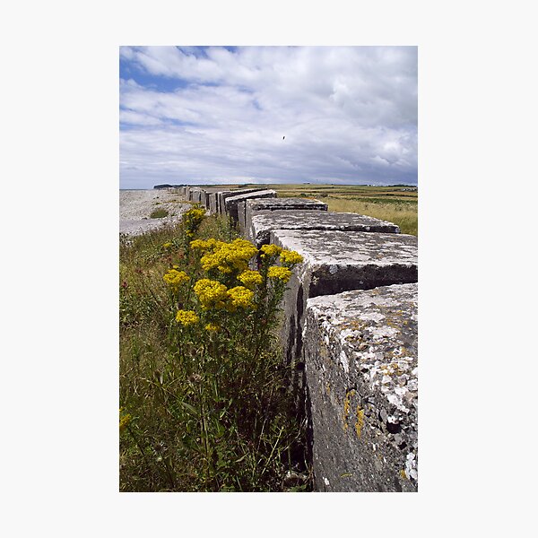 Shore defences Photographic Print