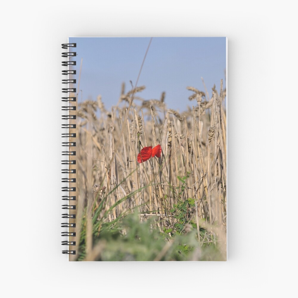 Item preview, Spiral Notebook designed and sold by pauleden.