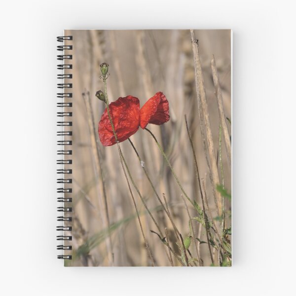 Item preview, Poppy In Field designed and sold by Paul  Eden.