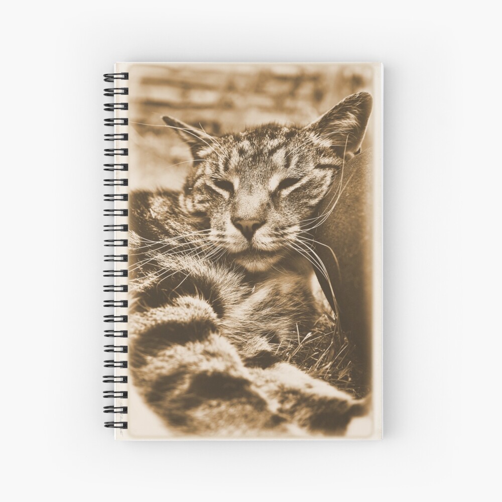 Item preview, Spiral Notebook designed and sold by pauleden.