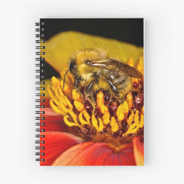 Item preview, Pollen Collector designed and sold by Image123.